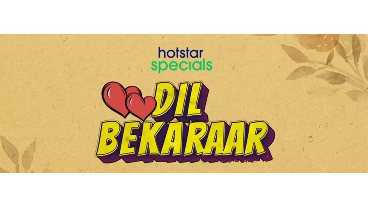 Dil Bekraar Series Review